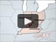 What is an LTL truck driving job?